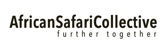 African Safari Collective